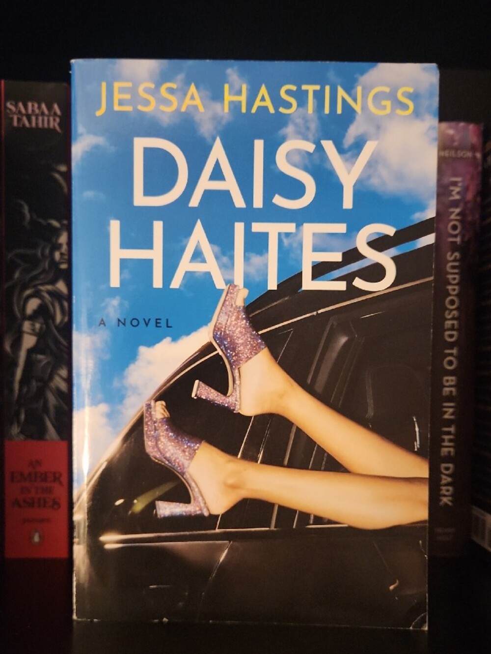 Magnolia Parks Series Books 1-4 By Jessa Hastings - Picture 11 of 12